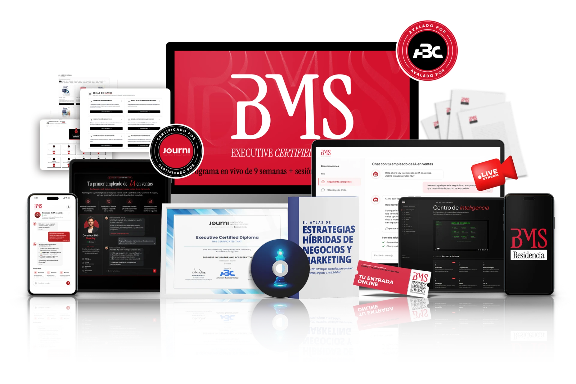 Componentes del programa BMS: dashboards, certificado, diploma, atlas de estrategias y avales