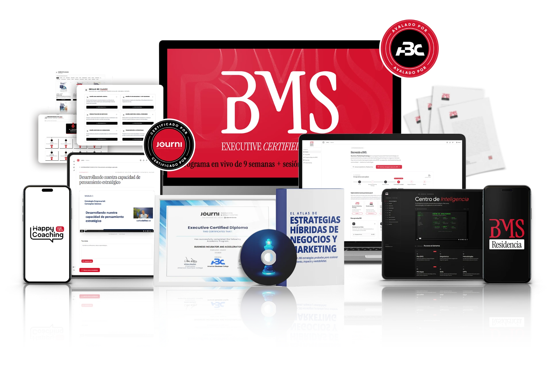 Componentes del programa BMS: dashboards, certificado, diploma, atlas de estrategias y avales